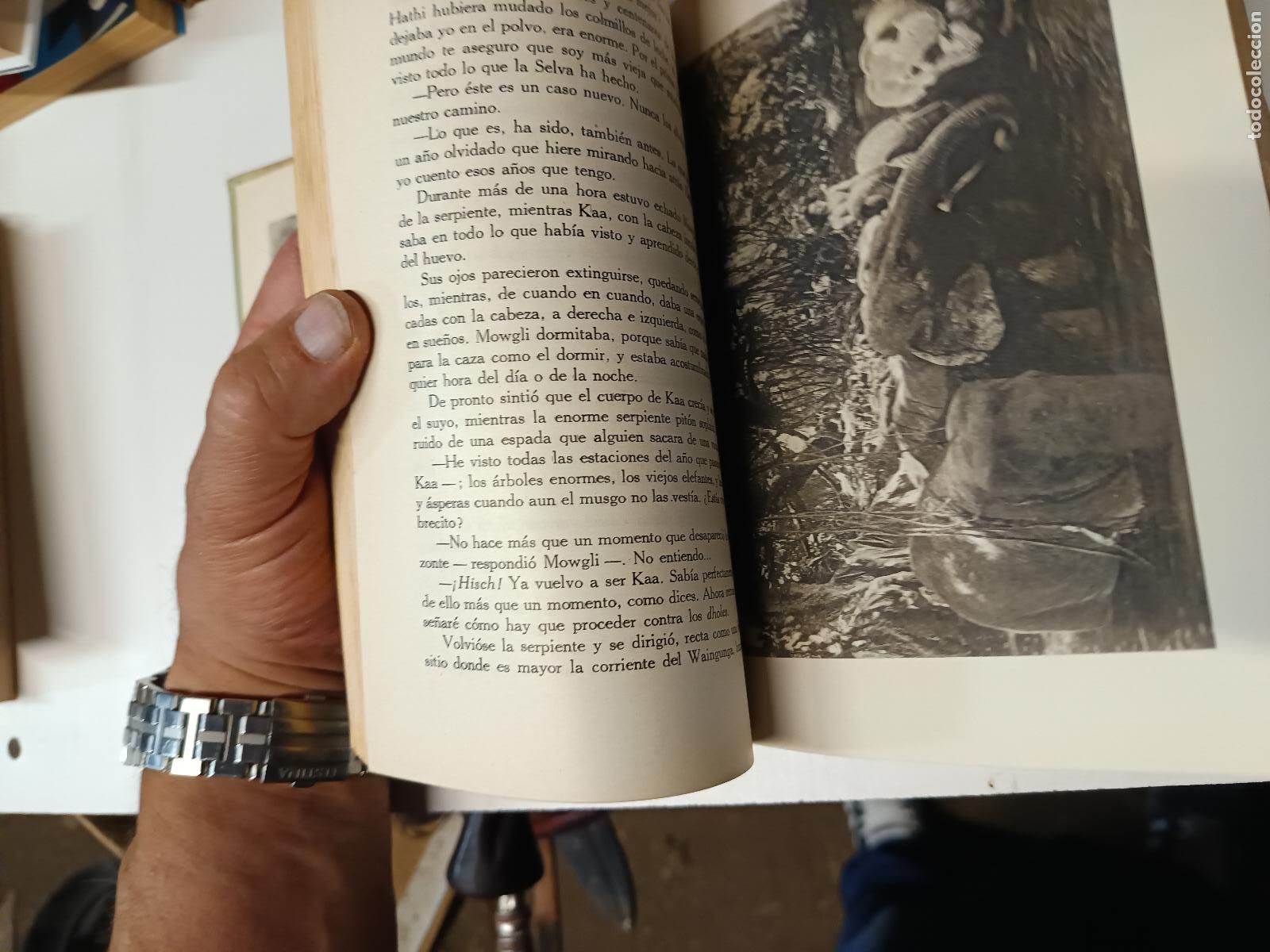 Libros de segunda mano: EL LIBRO DE LA SELVA. RUDYARD KIPLING. EDITORIAL GUSTAVO GILI 1944 2&ordf; EDICION - Foto 6