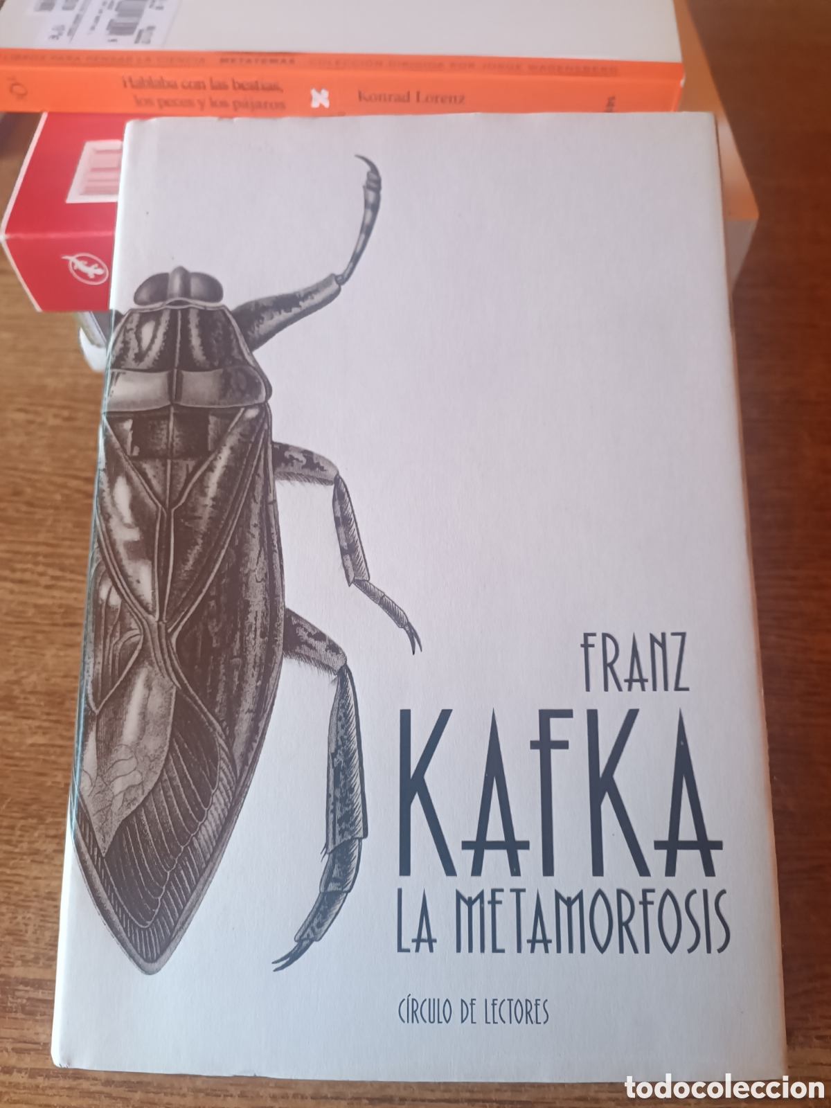 Libros de segunda mano: Franz kafka la metamorfosis circulo de LECTORES TAPA dura ilustrado Ana Juan Fernando Vicente Charri