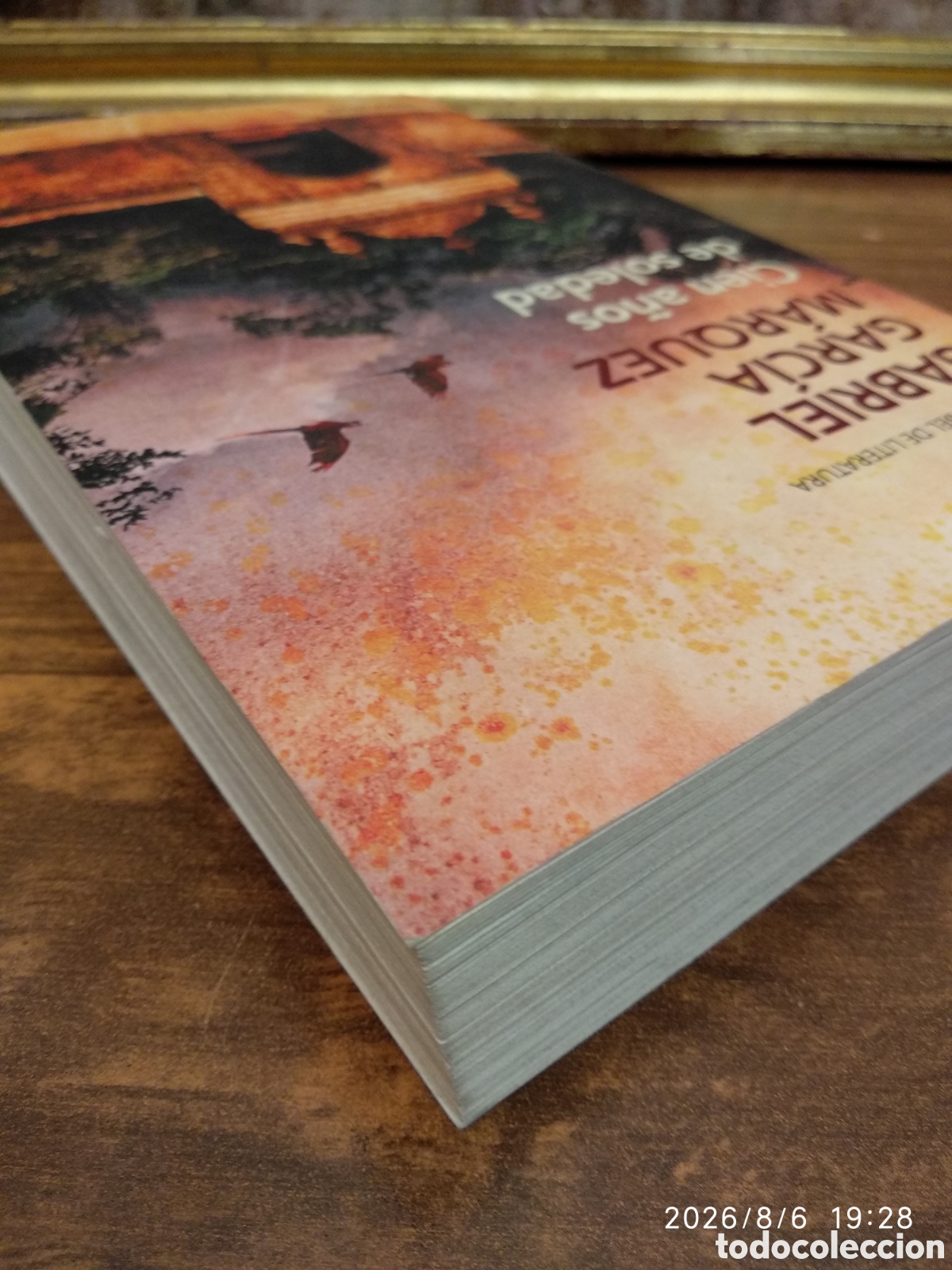 Libros de segunda mano: Cien a&ntilde;os de soledad (Gabriel Garc&iacute;a M&aacute;rquez) - Foto 9
