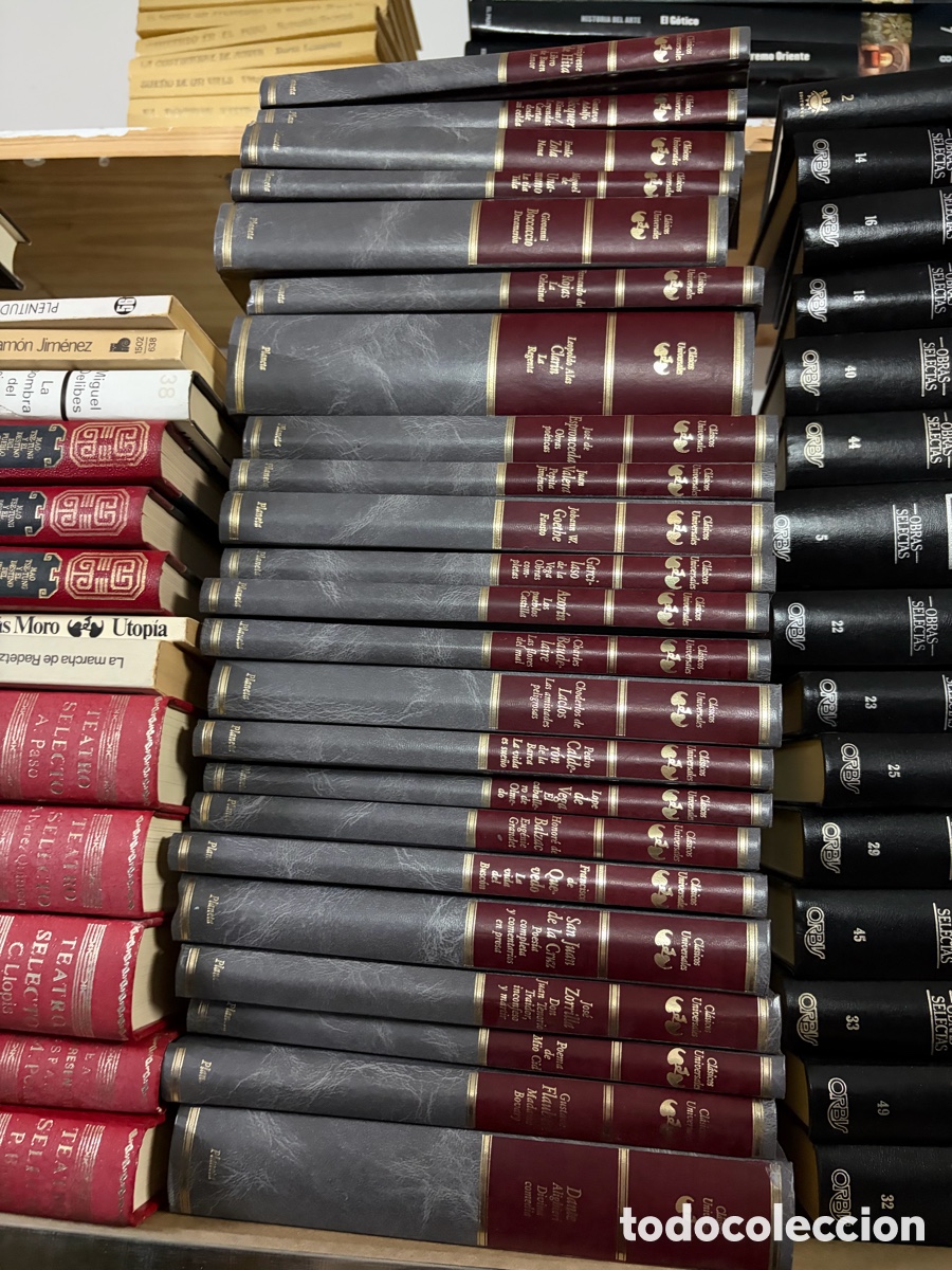 Libros de segunda mano: Lote 23 libros literatura cl&aacute;sica regenta Celestina divina comedia las flores del mal