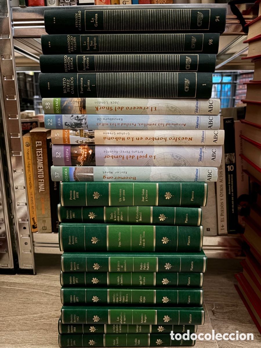 Libros de segunda mano: Lote de 18 novelas cl&aacute;sicas y biograf&iacute;as en espa&ntilde;ol