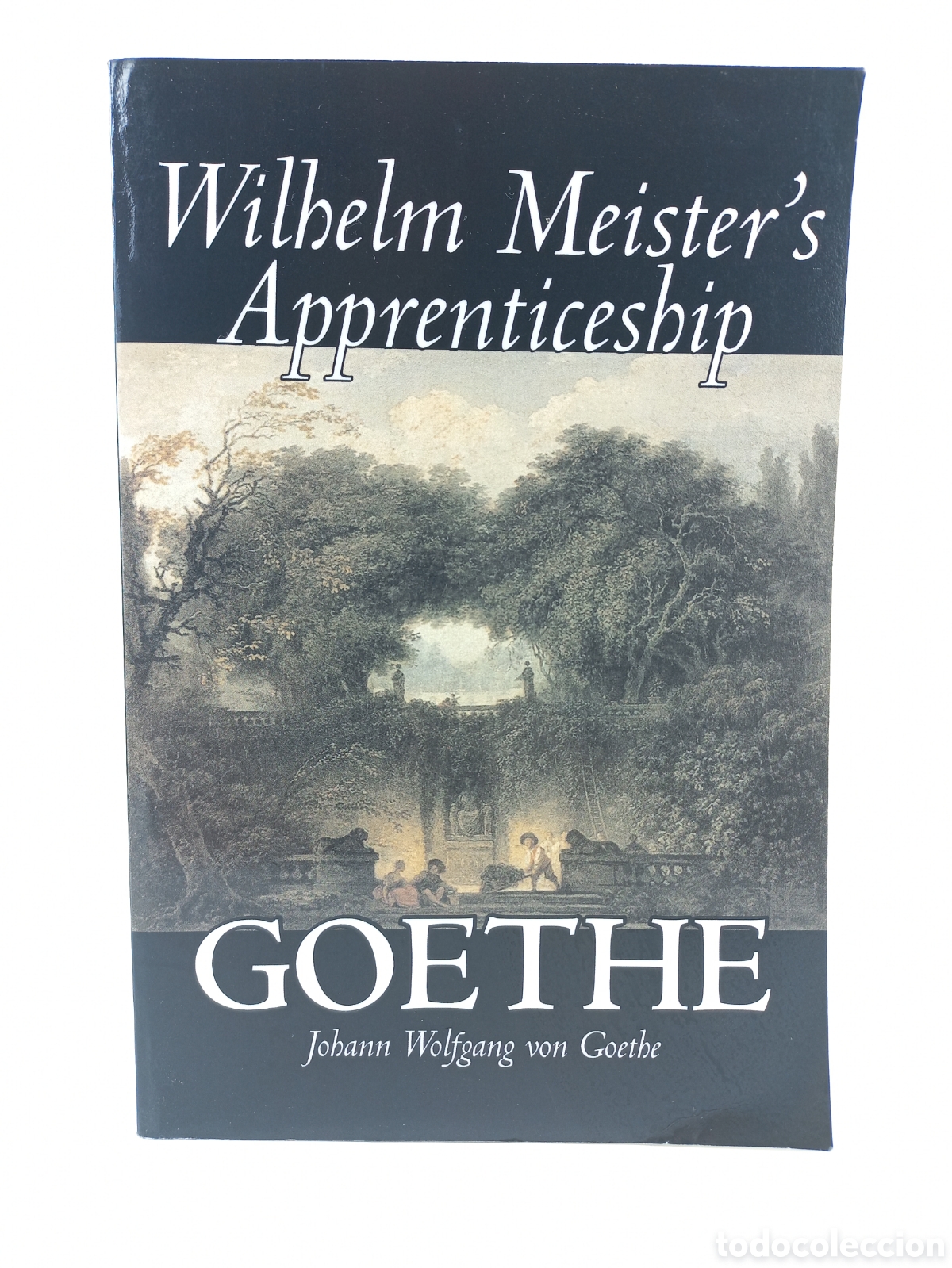 Libros de segunda mano: Wilhelm Meister's Apprenticeship. Goethe. Aegypan Press, 2007.
