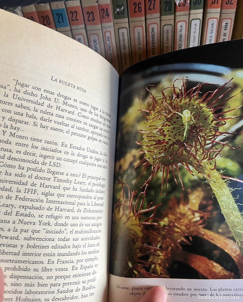 Libros de segunda mano: BIBLIOTECA B&Aacute;SICA SALVAT &ndash; COLECCI&Oacute;N COMPLETA DE 100 LIBROS - Foto 11