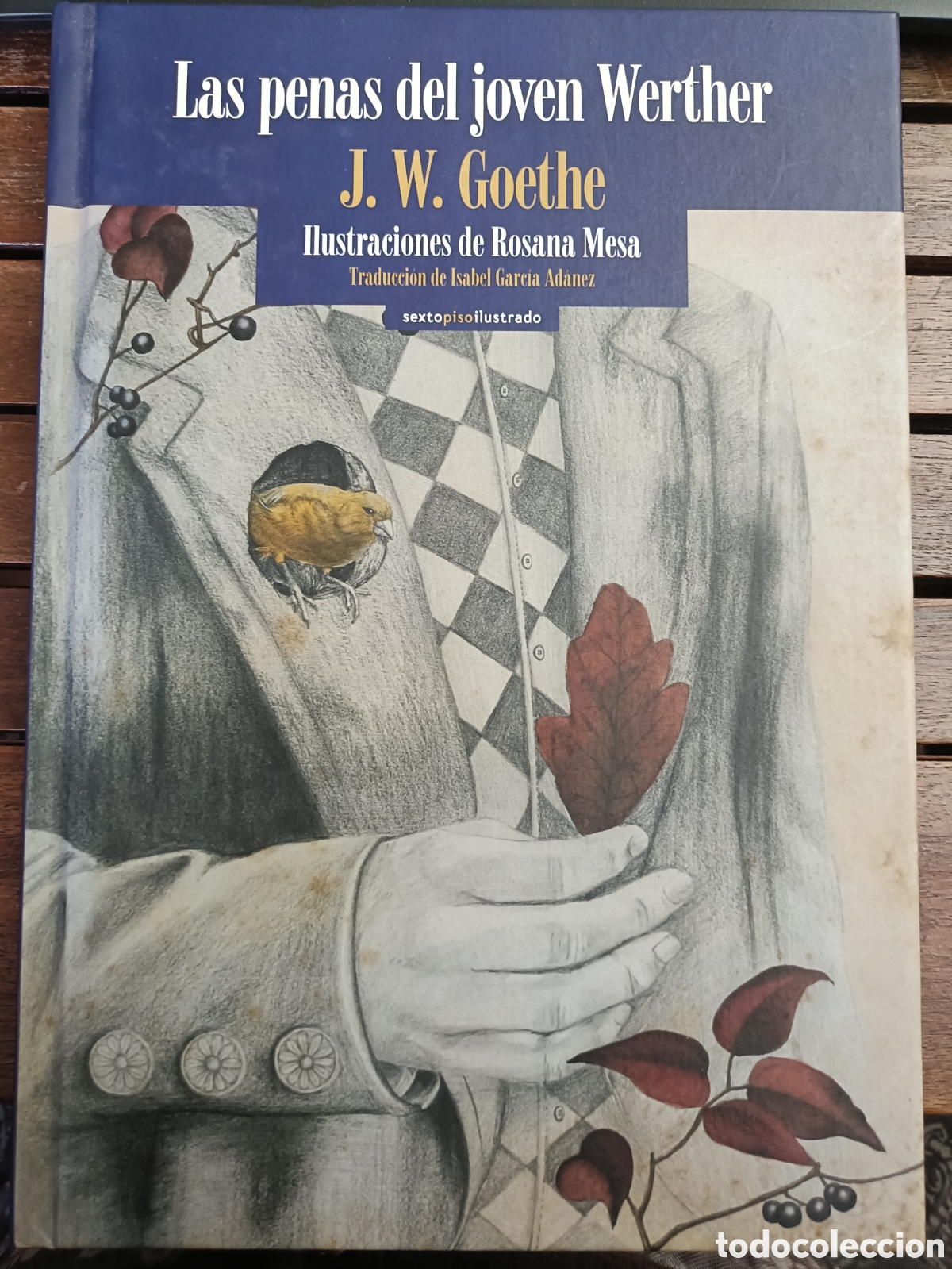 Second hand books: Las penas del joven Werther JW Goethe Sexto piso ilustra Rosana Mesa traducci&oacute;n Isabel Garc&iacute;a Adanez