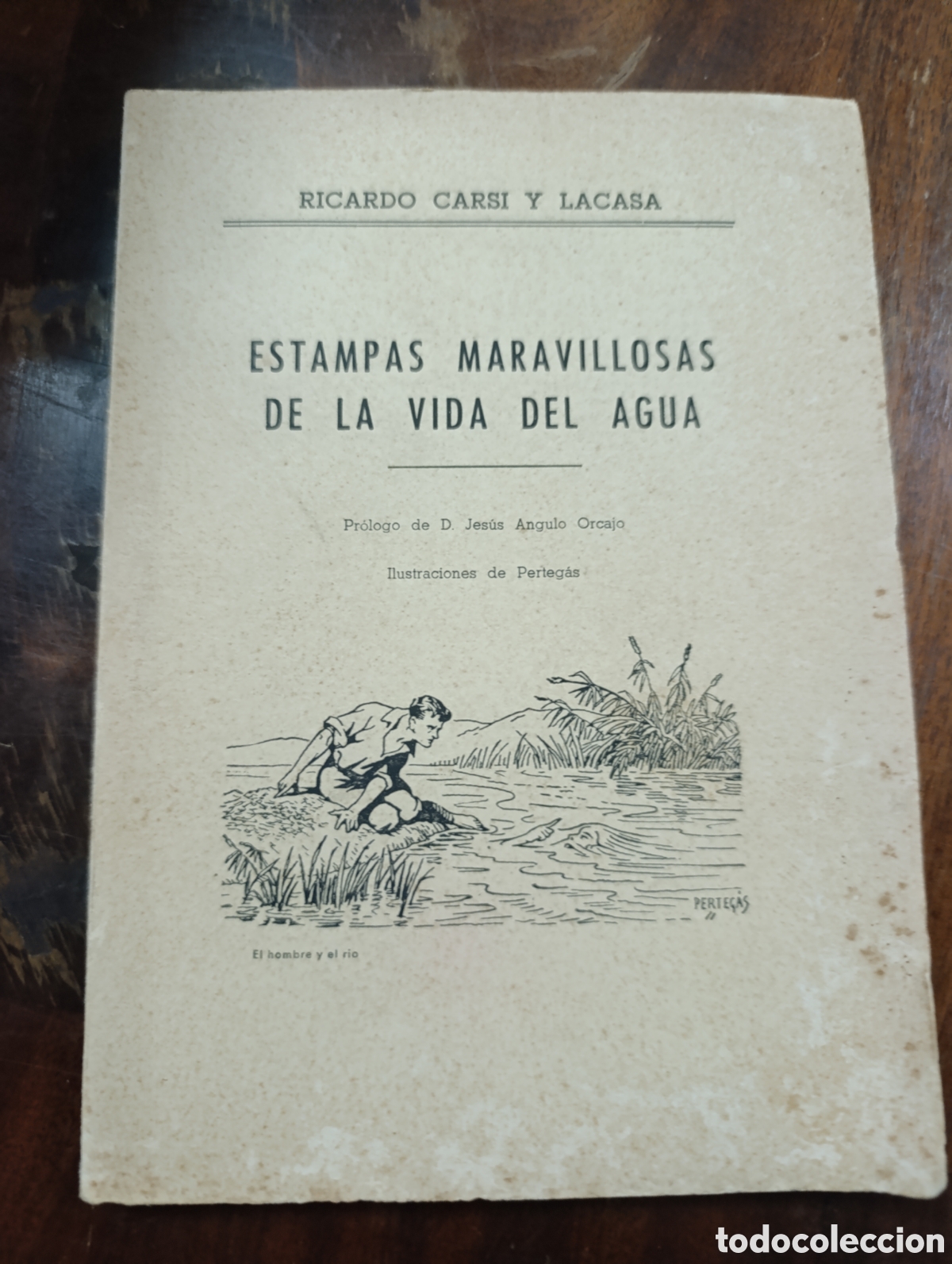 Libros de segunda mano: RICARDO CARSI Y LACASA ESTAMPAS MARAVILLOSAS DE LA VIDA DEL AGUA FIRMADO