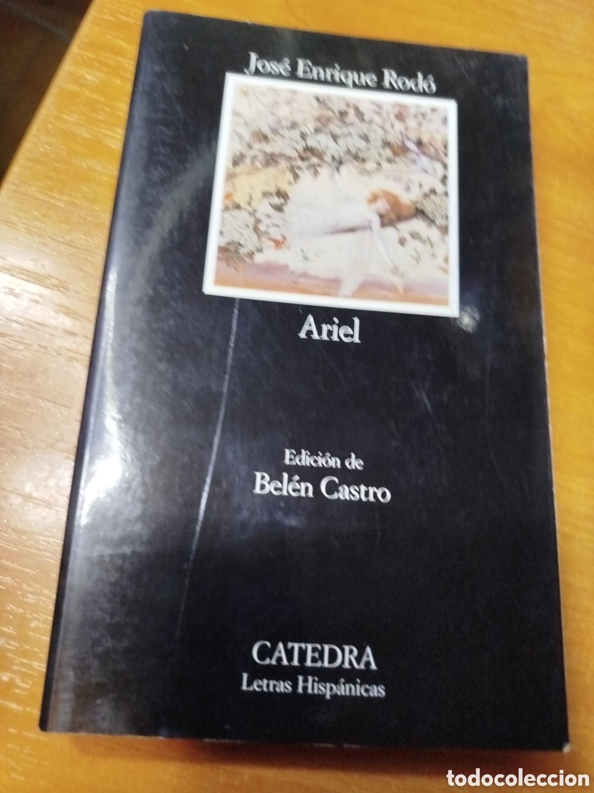 Libros de segunda mano: Ariel. Jos&eacute; Enrique rod&oacute;. Bel&eacute;n Castro.
