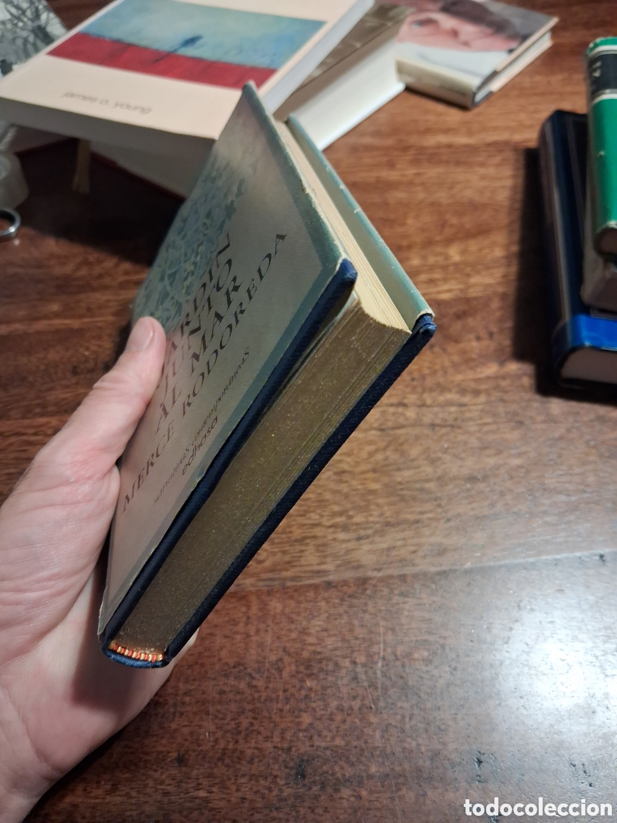 Libros de segunda mano: Jard&iacute;n junto al mar, Merce Rodoreda - Foto 3