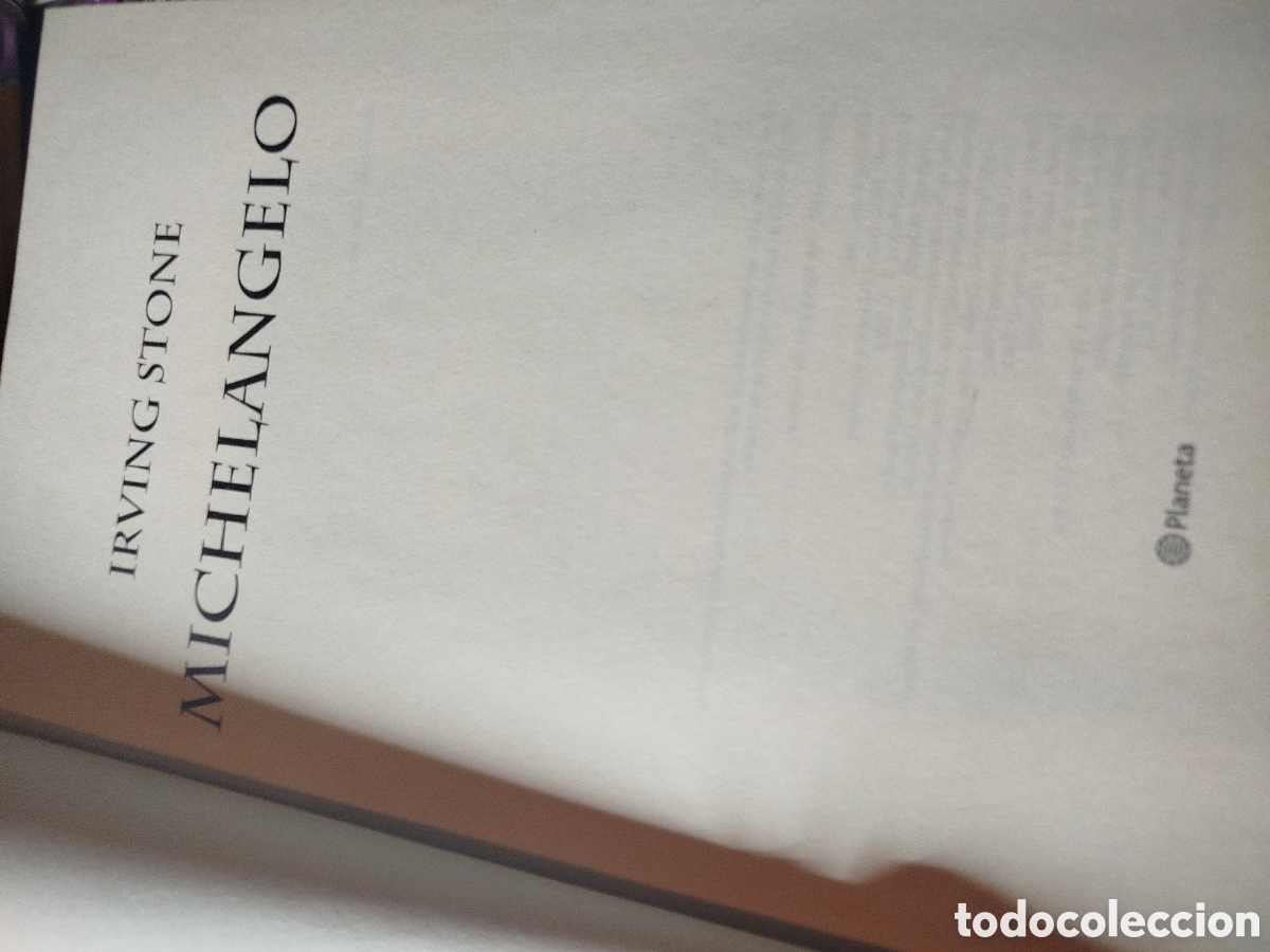 Libros de segunda mano: Michelangelo. Irving Stone. Miguel &Aacute;ngel
