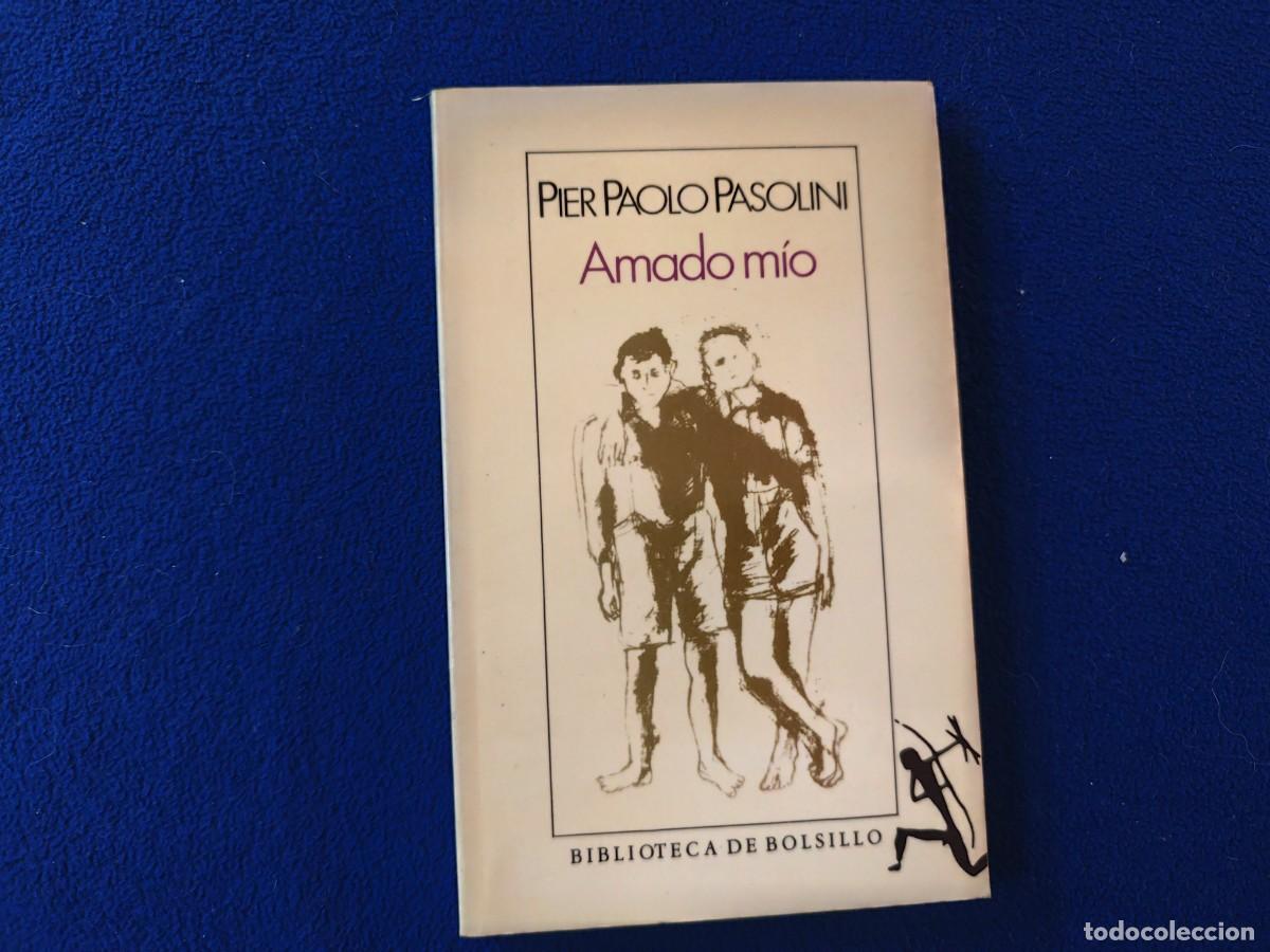 Libros de segunda mano: AMADO M&Iacute;O Pier Paolo Pasolini Ed. Seix Barral 1990