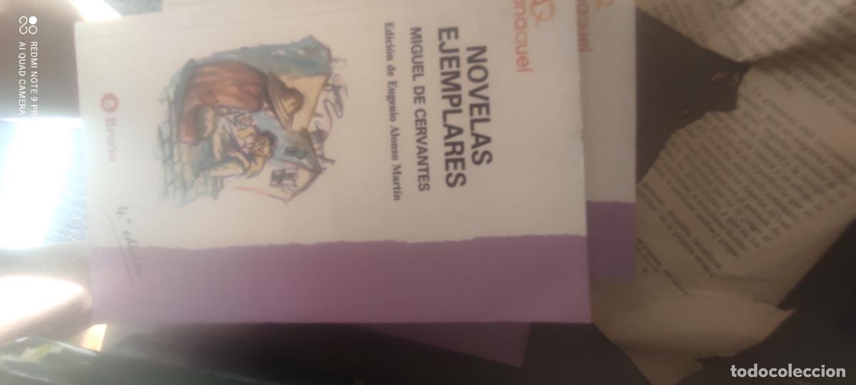 Libros de segunda mano: Novelas ejemplares de Cervantes