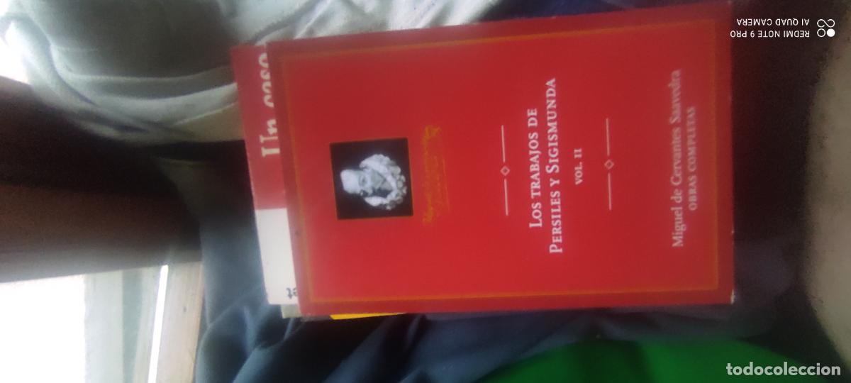 Libros de segunda mano: Los Trabajos de Persiles y Segismunda Ii - Miguel de Cervantes Saavedra