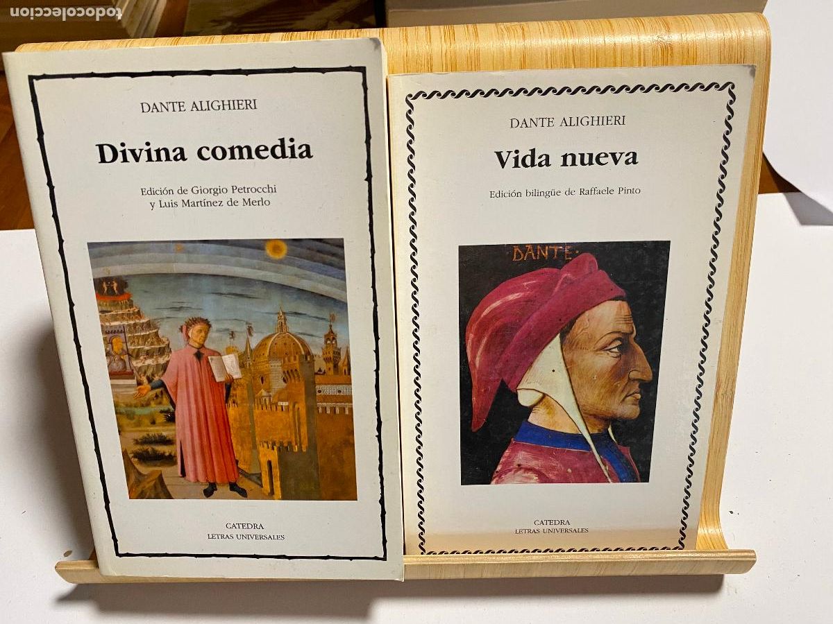 Libros de segunda mano: DIVINA COMEDIA + VIDA NUEVA. DANTE ALIGHIERI. ED. C&Aacute;TEDRA. LETRAS UNIVERSALES N&ordm; 100 Y 348