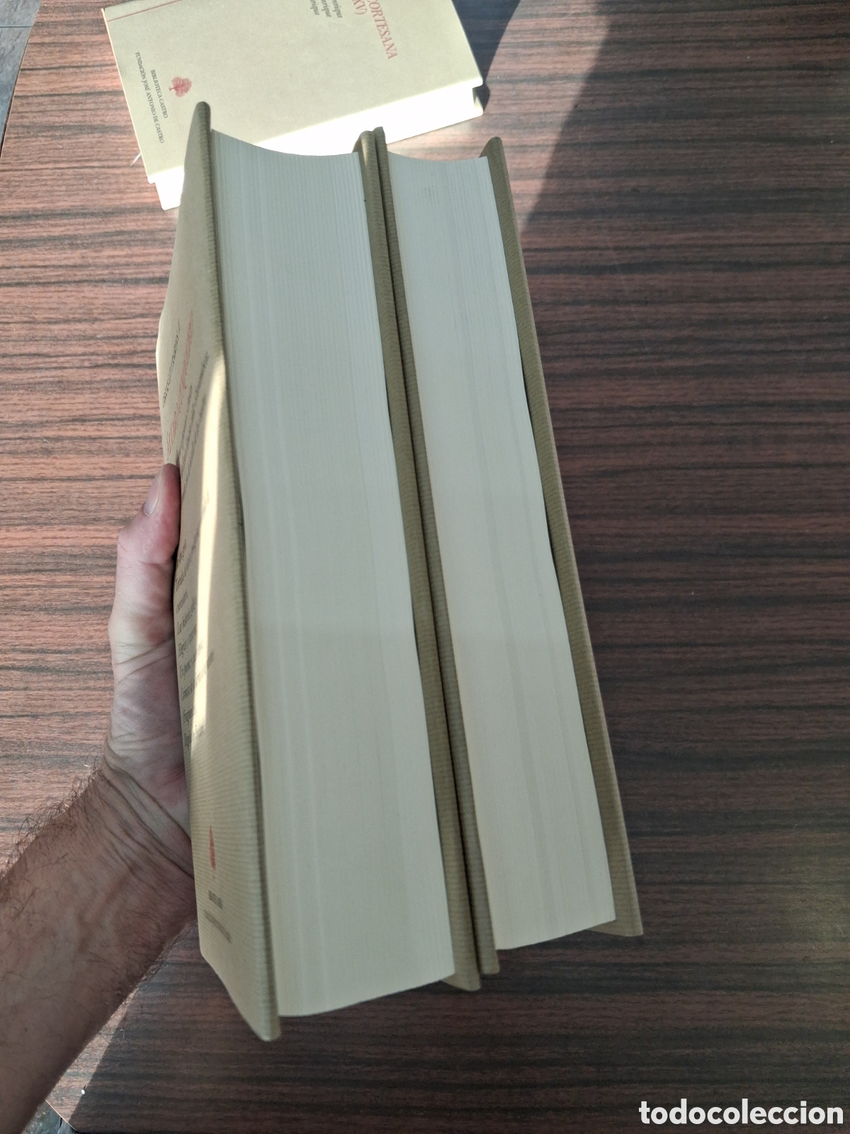 Libros de segunda mano: Obras literarias de &Aacute;lvaro Cunqueiro en la Biblioteca Castro - Foto 3