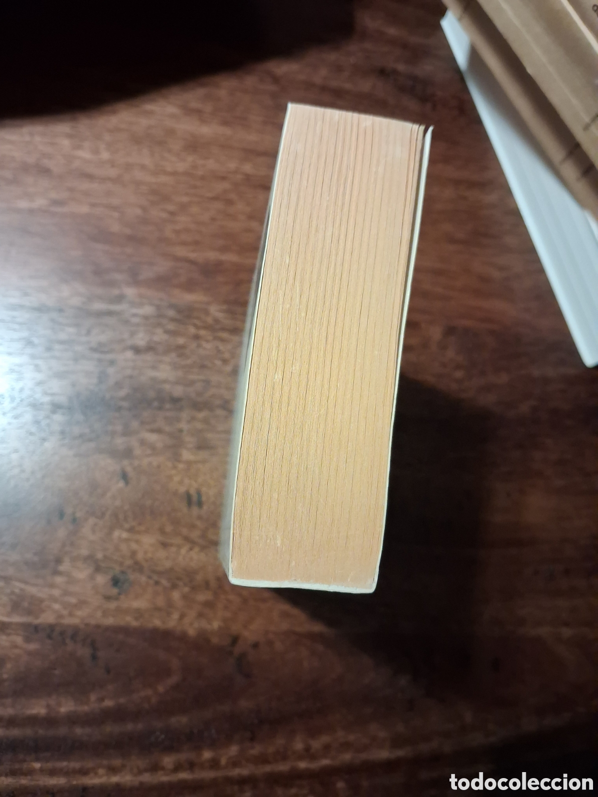 Libros de segunda mano: Una ca&ntilde;a que piensa, Andr&eacute;s Trapiello - Foto 3