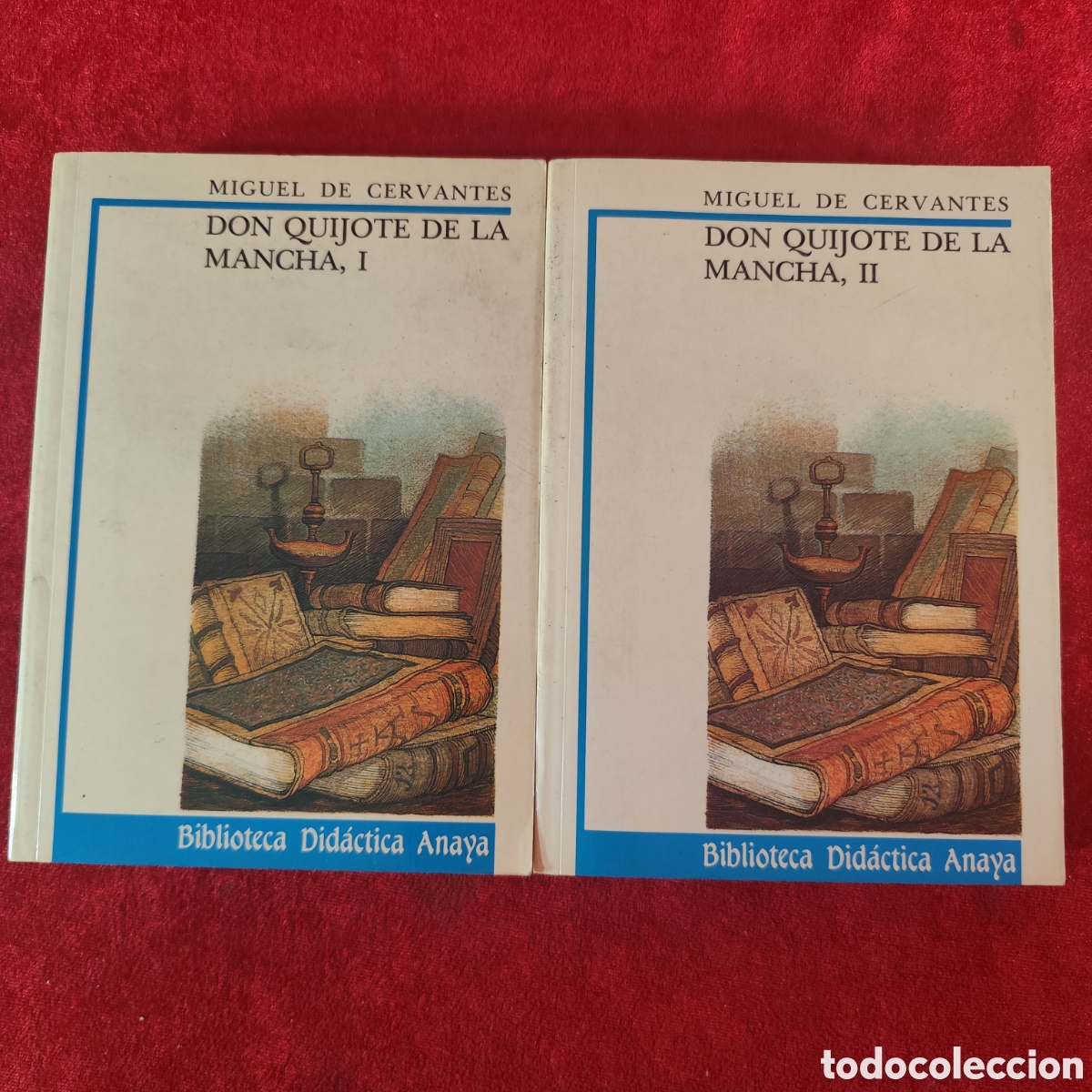 Libros de segunda mano: DON QUIJOTE DE LA MANCHA - MIGUEL DE CERVANTES SAAVEDRA - TOMO I Y II - ANAYA / 407