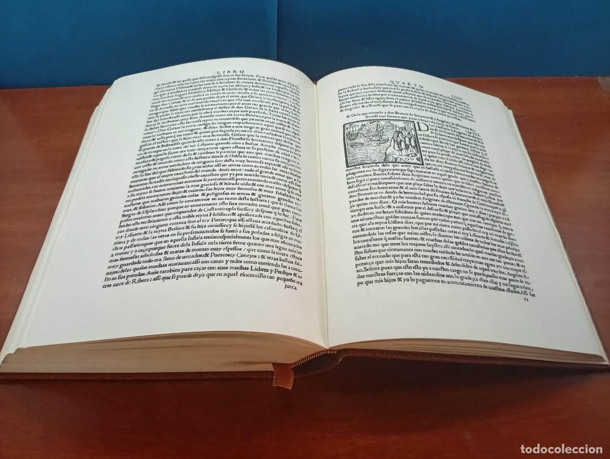 Libros de segunda mano: AMADIS DE GAULA, FACS&Iacute;MIL DE 1533 , C&Iacute;RCULO DEL BIBLI&Oacute;FILO, ED. LIMITADA Y NUMERADA - Foto 9