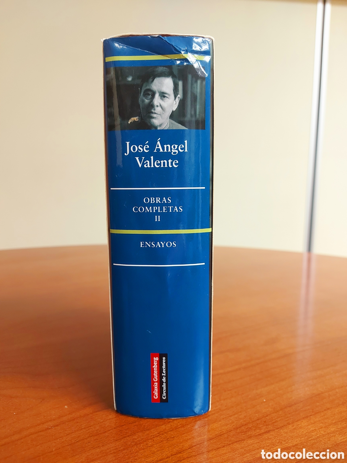 Libros de segunda mano: Jos&eacute; &Aacute;ngel Valente, Obras Completas II (Ensayos). Galaxia Gutenberg, 2008.