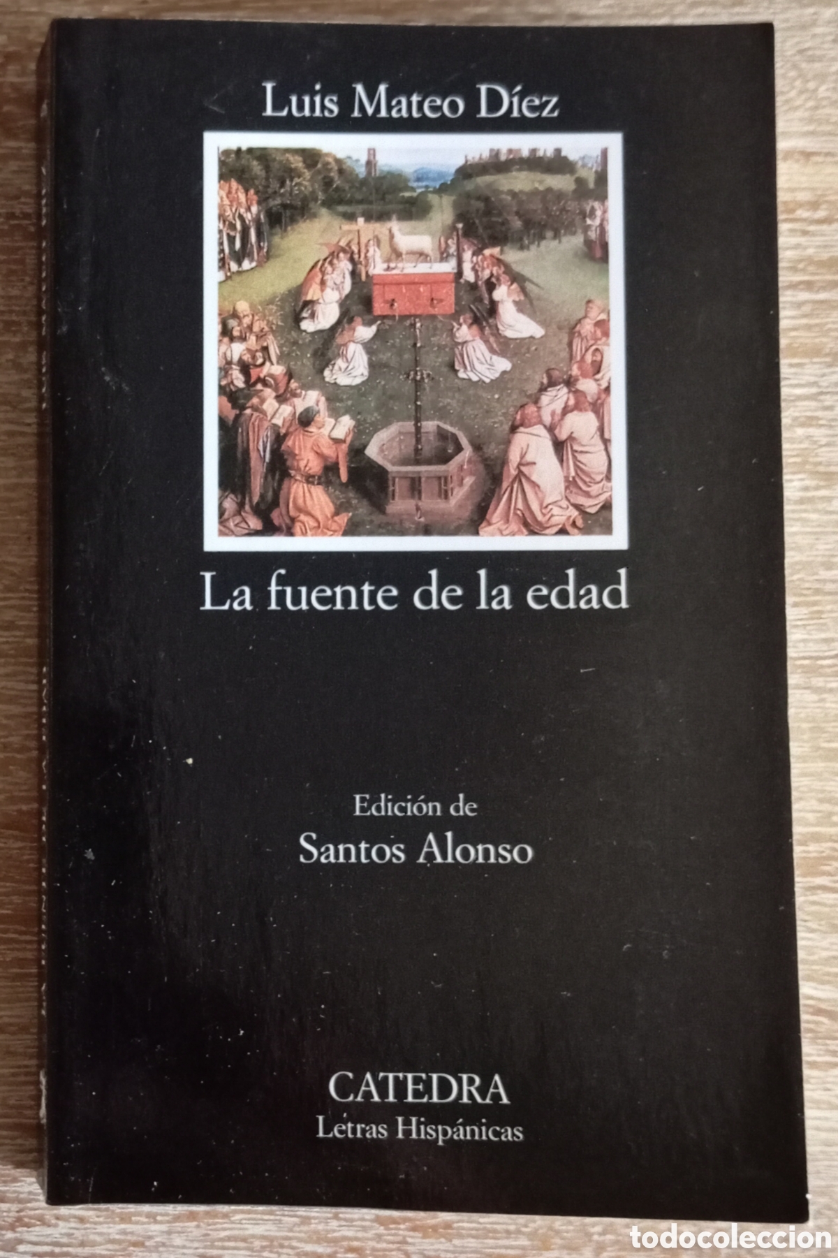 Libros de segunda mano: LA FUENTE DE LA EDAD - LUIS MATEO DIEZ - CATEDRA - Foto 1