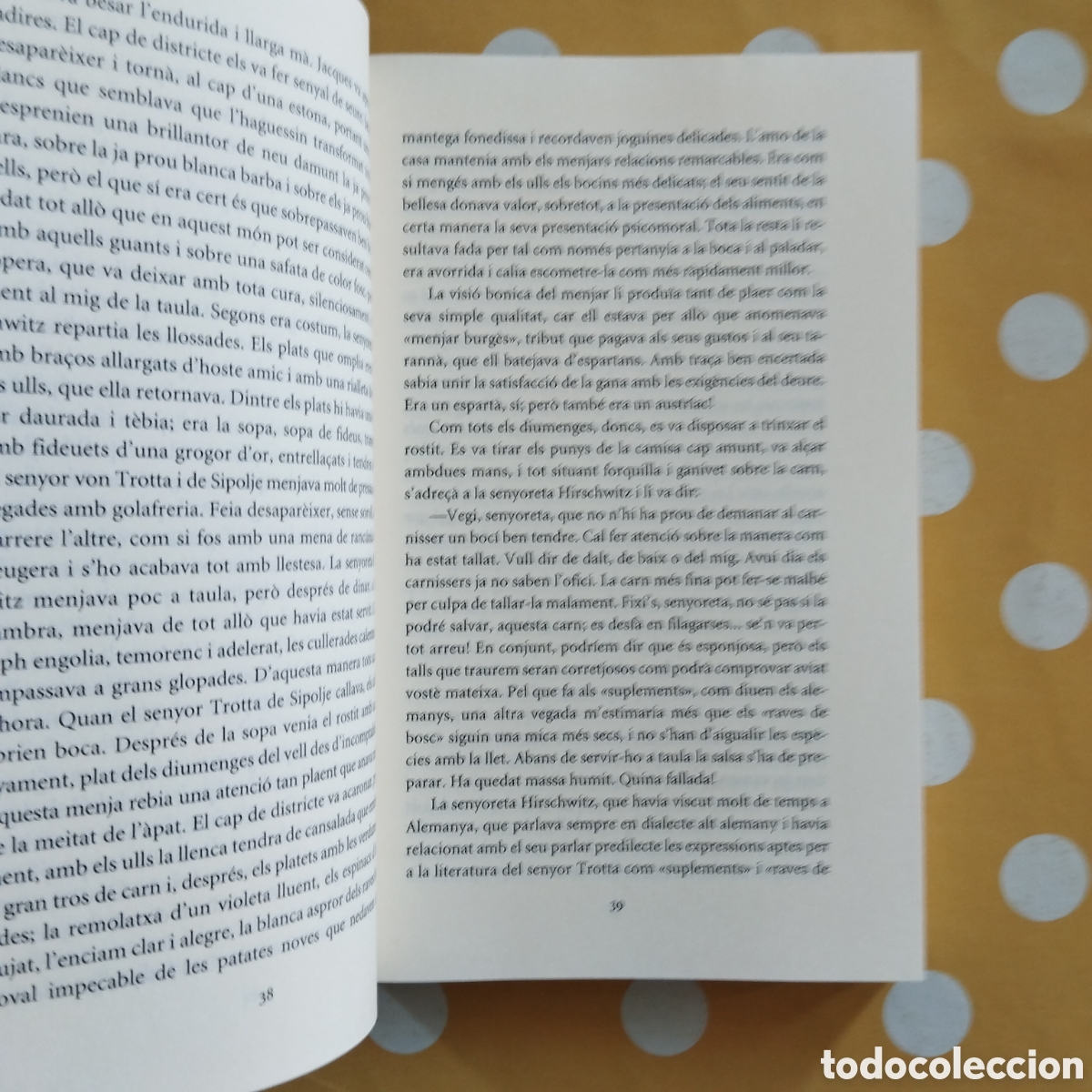 Libros de segunda mano: JOSEPH ROTH LA MARXA DE RADETZKY PROA A TOT VENT 2008 JOAN VALLS - Foto 5