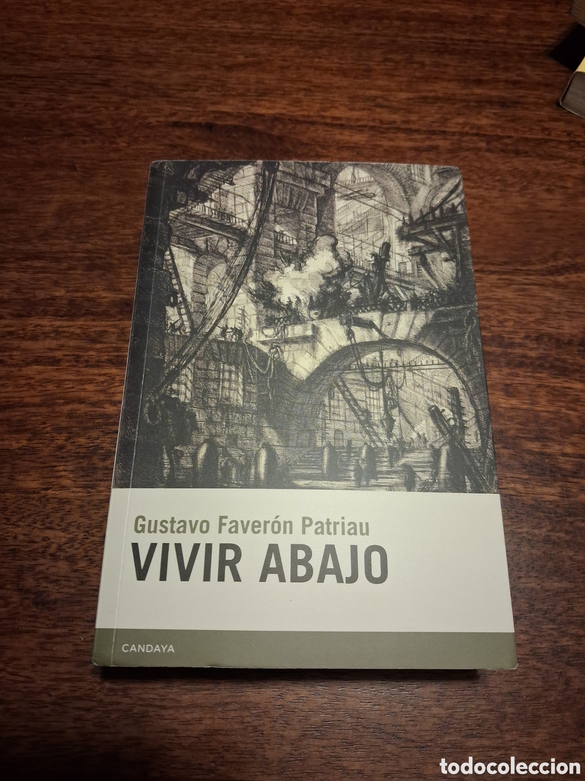 Libros de segunda mano: Vivir abajo, Gustavo Faver&oacute;n Patriau