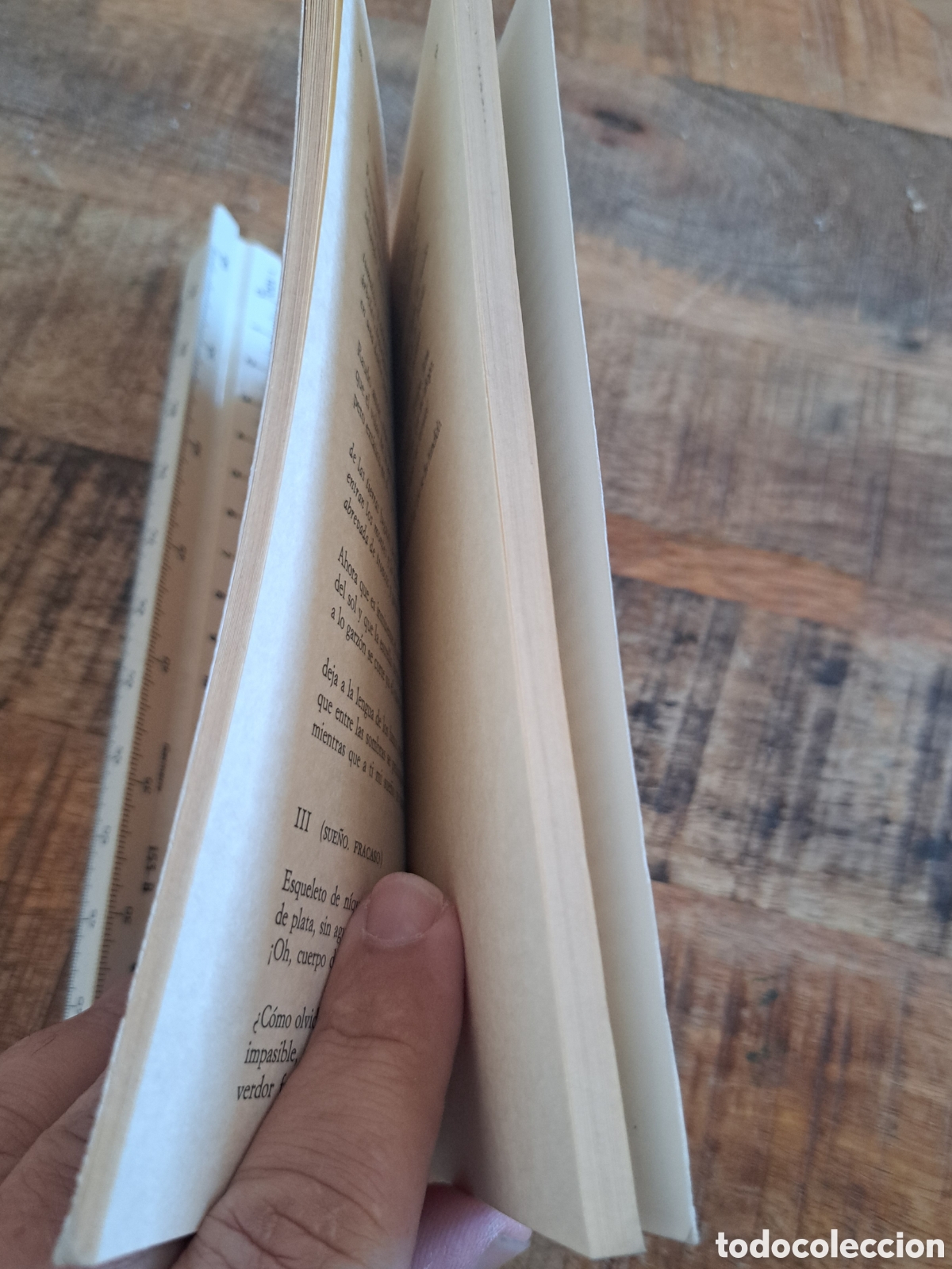 Libros de segunda mano: Jml Rafael Alberti. Cal y Canto. Alianza Losada. 1981. - Foto 5