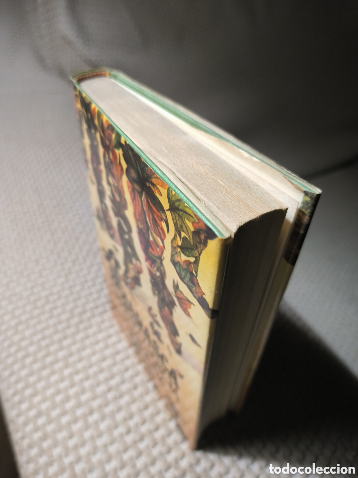 Libros de segunda mano: La hojarasca (Gabriel Garc&iacute;a M&aacute;rquez) - Foto 5