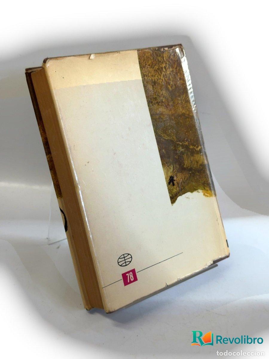 Libros de segunda mano: Don Camilo - Giovanni Guareschi - Foto 2