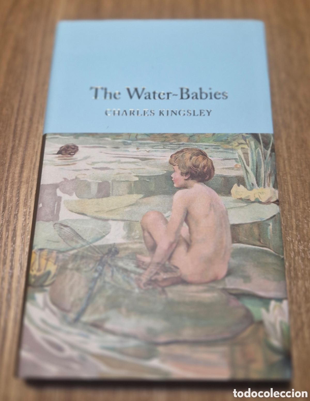 Libros de segunda mano: Water-Babies: A Fairy Tale for a Land-Baby