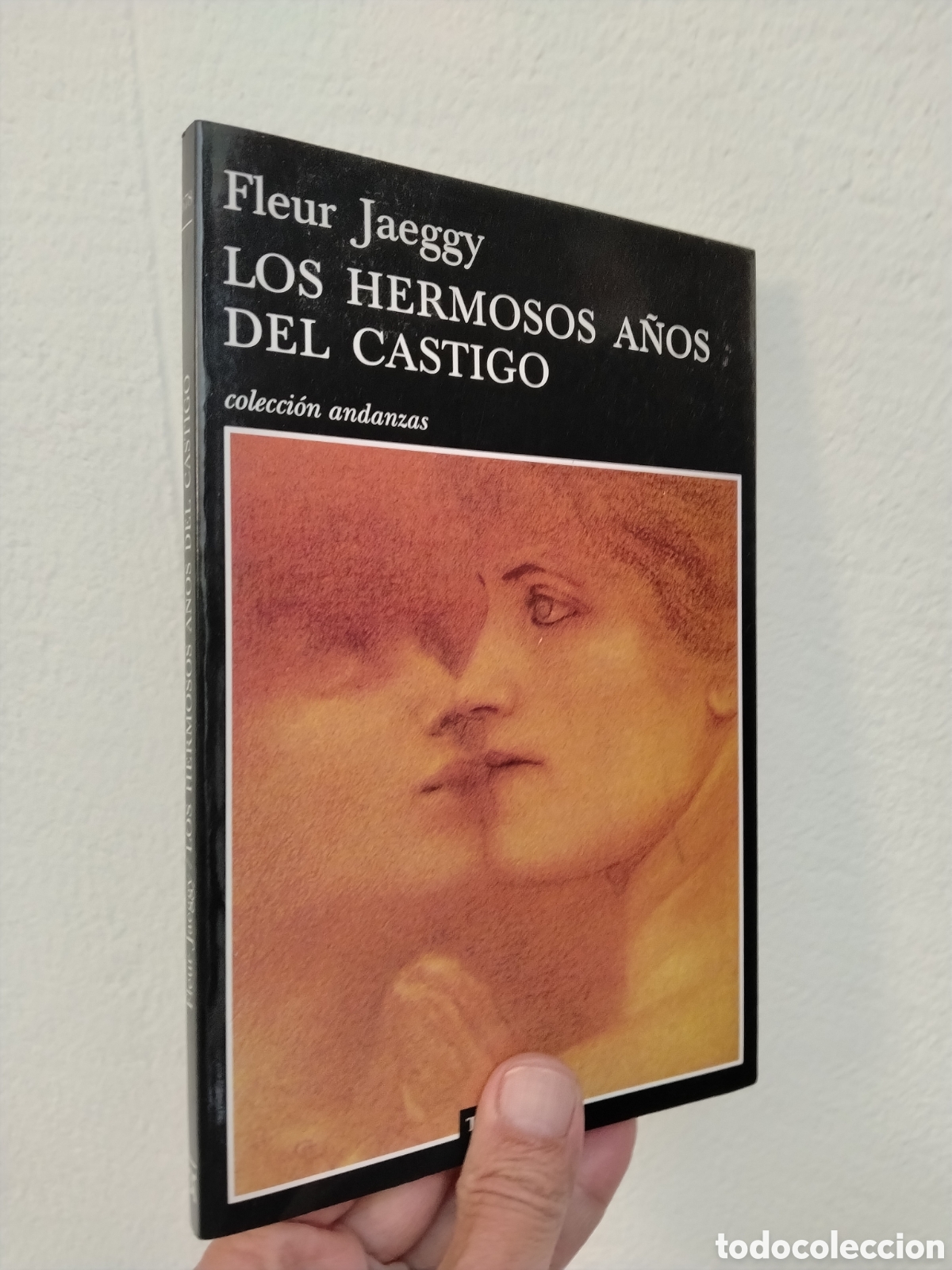 Libros de segunda mano: LOS HERMOSOS A&Ntilde;OS DEL CASTIGO - JAEGGY, FLEUR
