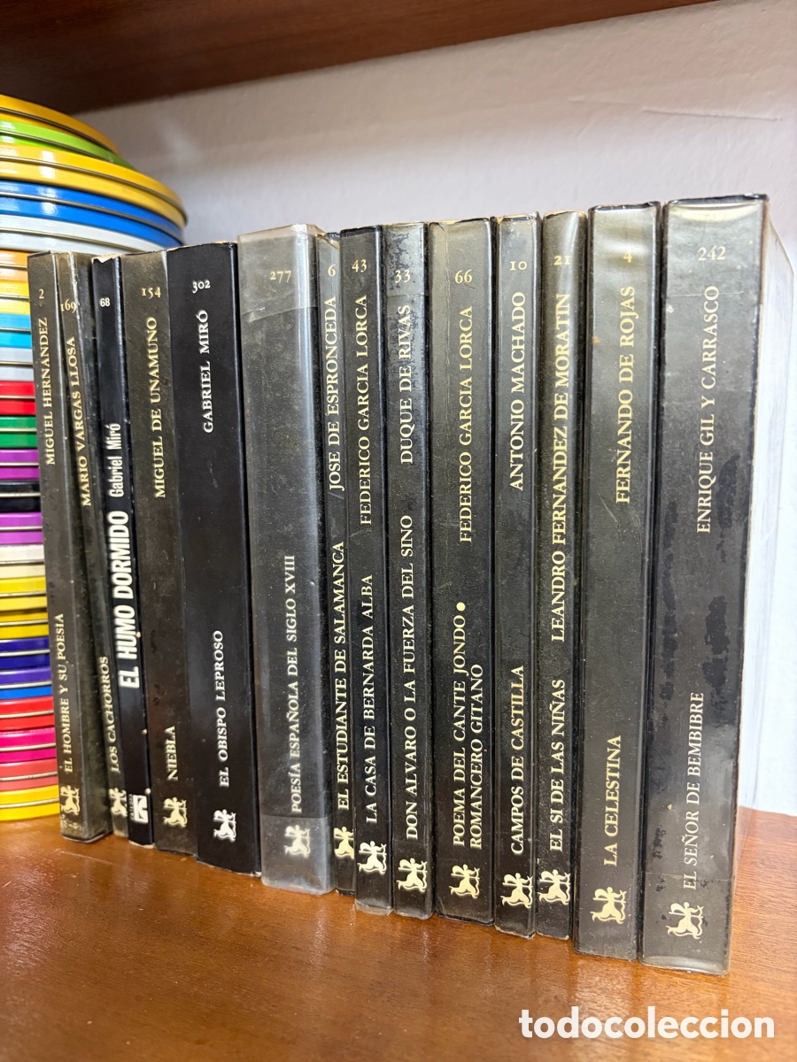 Libros de segunda mano: Lote 14 libros C&aacute;tedra: Celestina don &Aacute;lvaro bernarda Alba obispo leproso