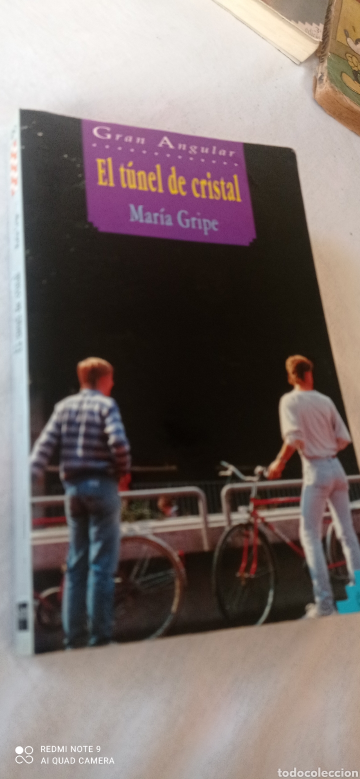 Libros: EL T&Uacute;NEL DE CRISTAL. GRAN ANGULAR. MARIA GRIPE. EDICIONES SM. - Foto 1