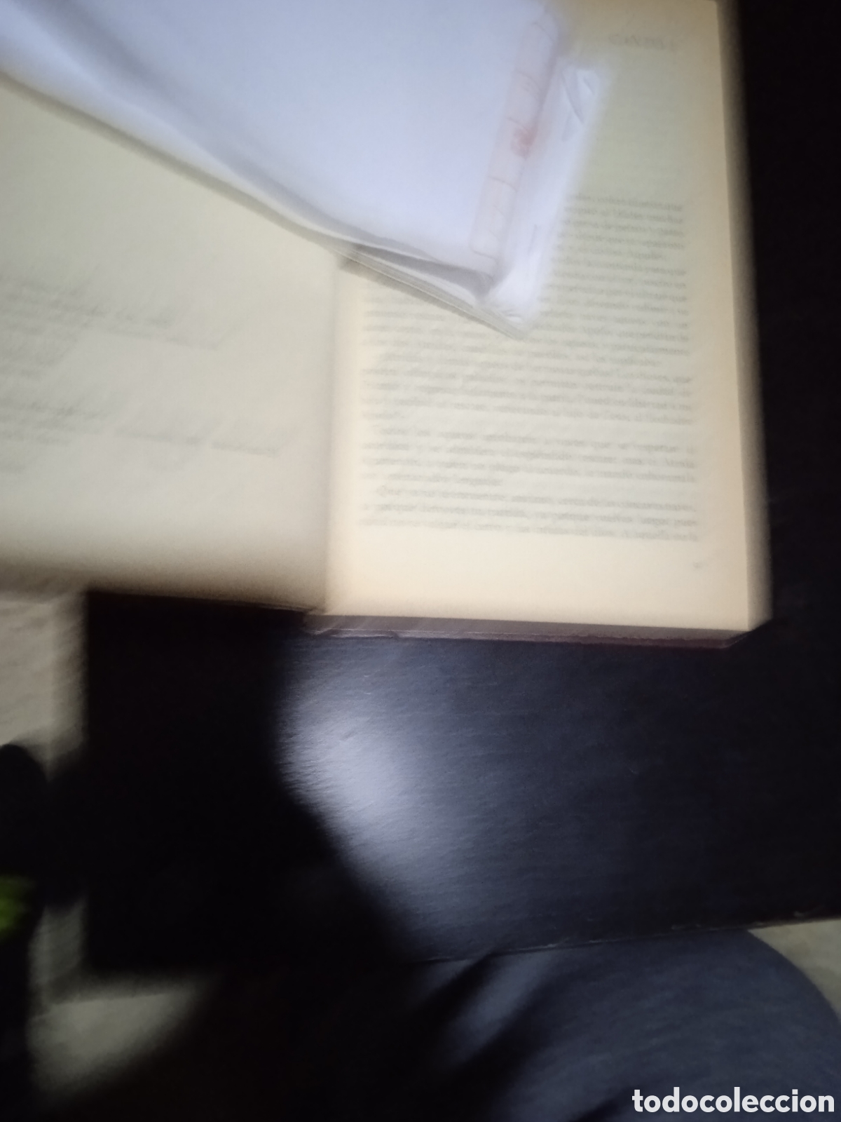 Libros: Iliada - Foto 3