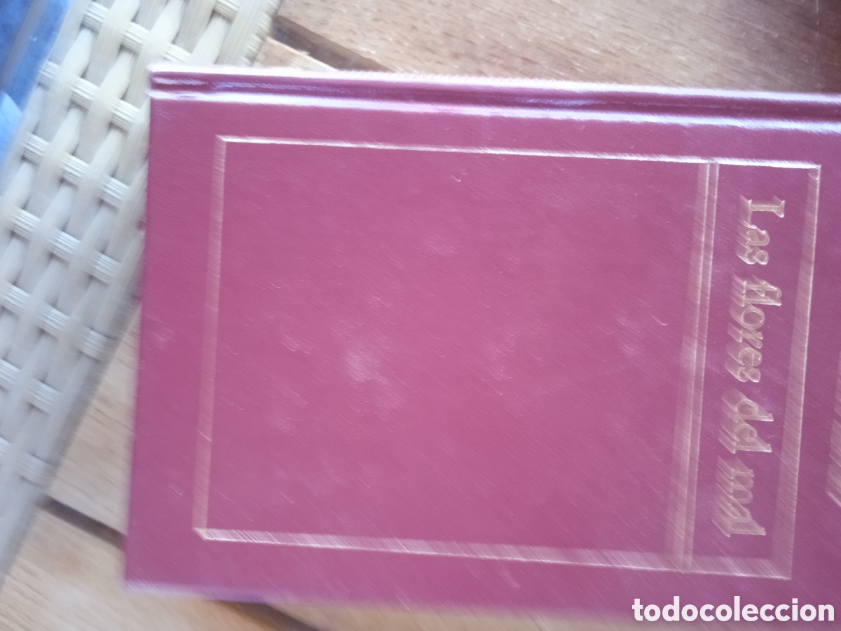 Libros: Las flores del mal libro 15 - Foto 1