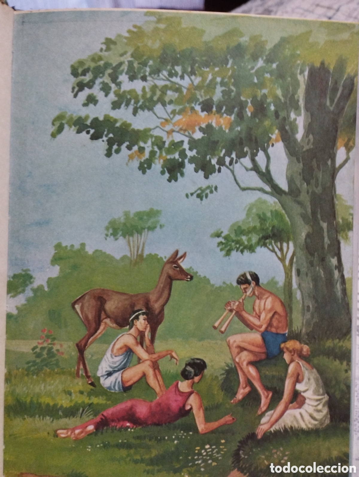 Libros: La Eneida a&ntilde;o 1967 - Foto 5