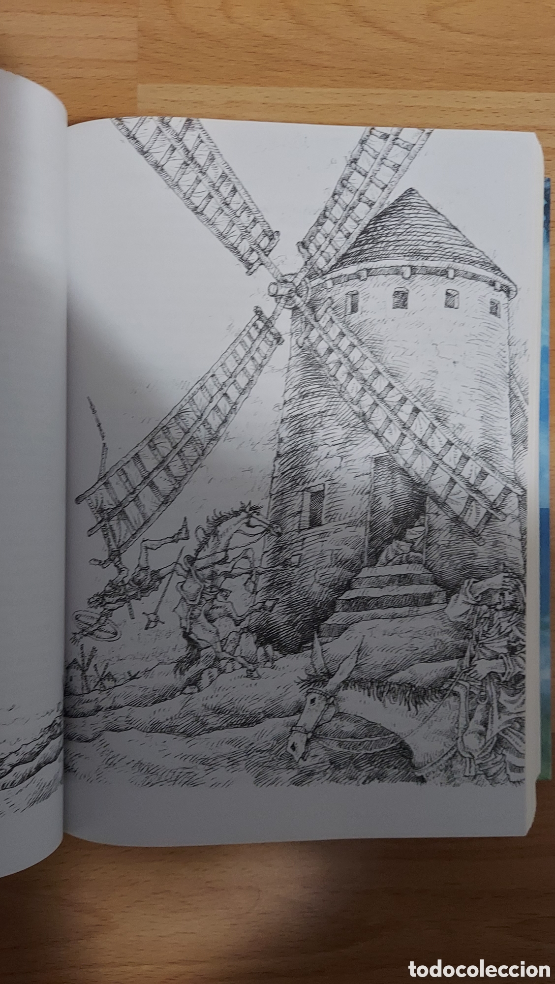 Libros: Don Quijote de la Mancha ilustrado - Foto 4