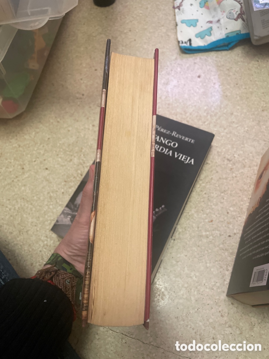 Libros: El &uacute;ltimo cat&oacute;n - Foto 4