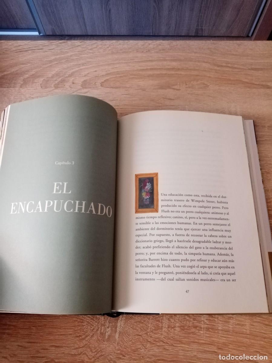 Libros: FLUSH DE VIRGINIA WOOLF, EDICI&Oacute;N ILUSTRADA - Foto 4