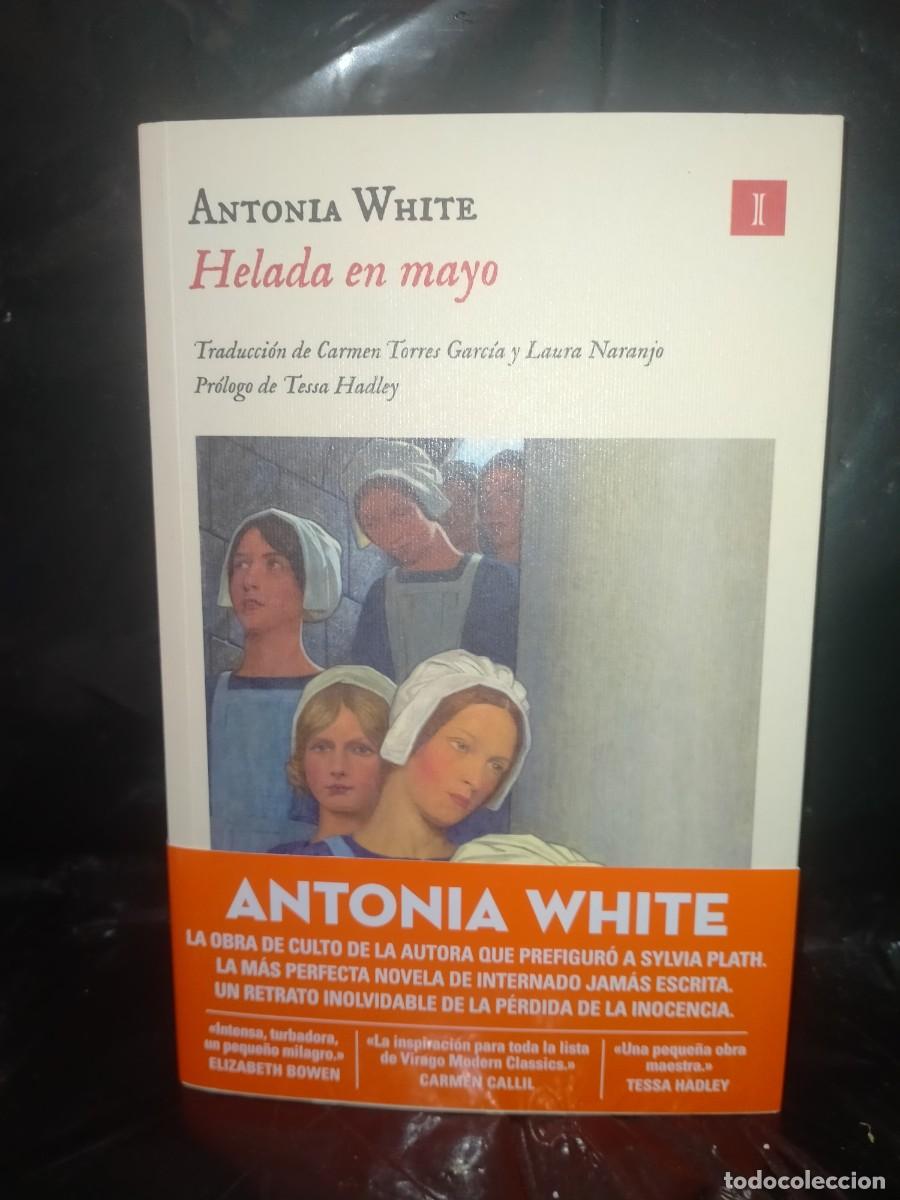 Libros: ANTONIA WHITE. HELADA EN MAYO .IMPEDIMENTA - Foto 1