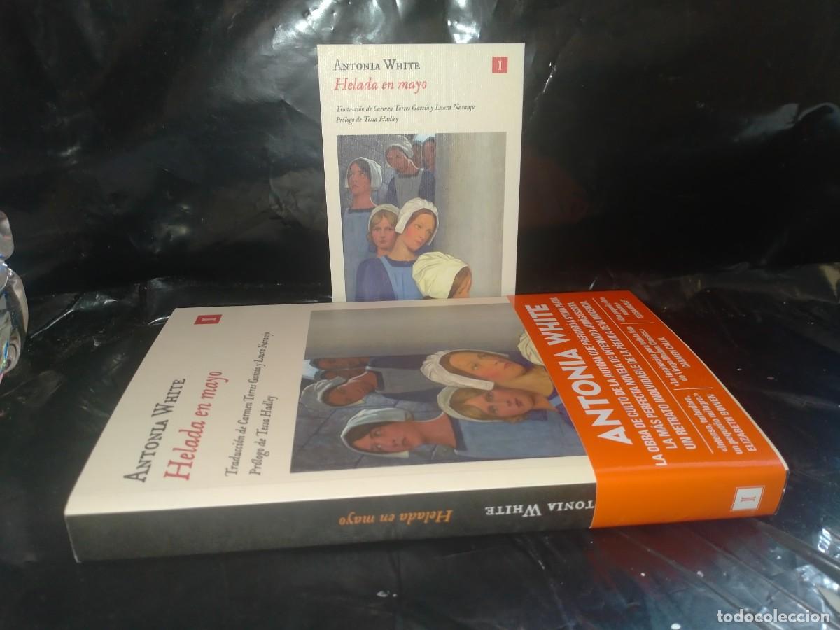 Libros: ANTONIA WHITE. HELADA EN MAYO .IMPEDIMENTA - Foto 3