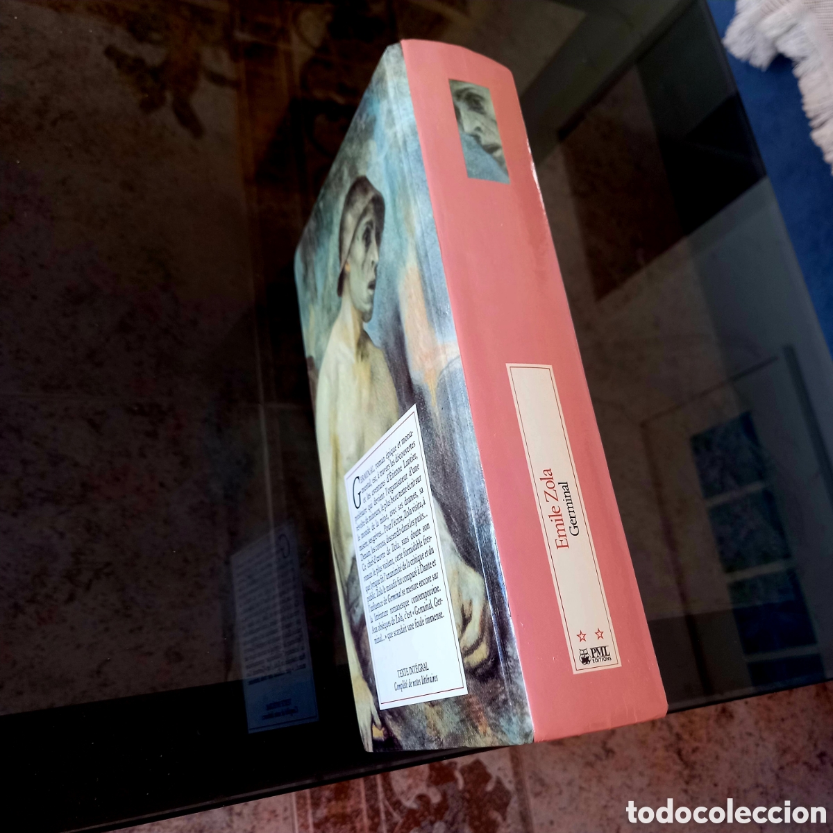 Libros: EMILE ZOLA. GERMINAL. EN FRANC&Eacute;S. - Foto 4