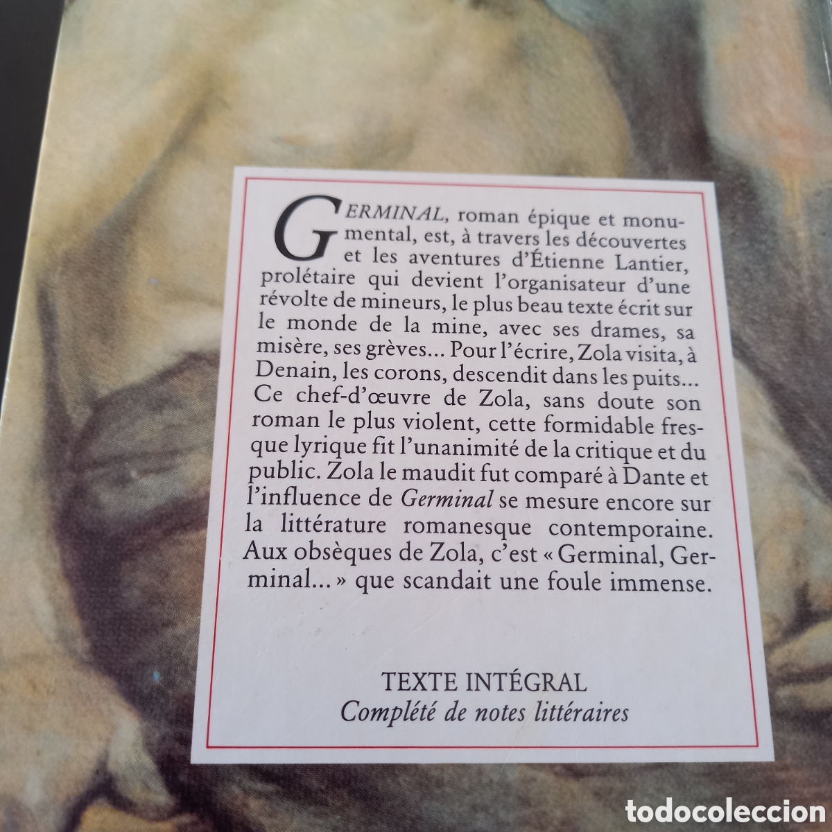 Libros: EMILE ZOLA. GERMINAL. EN FRANC&Eacute;S. - Foto 5