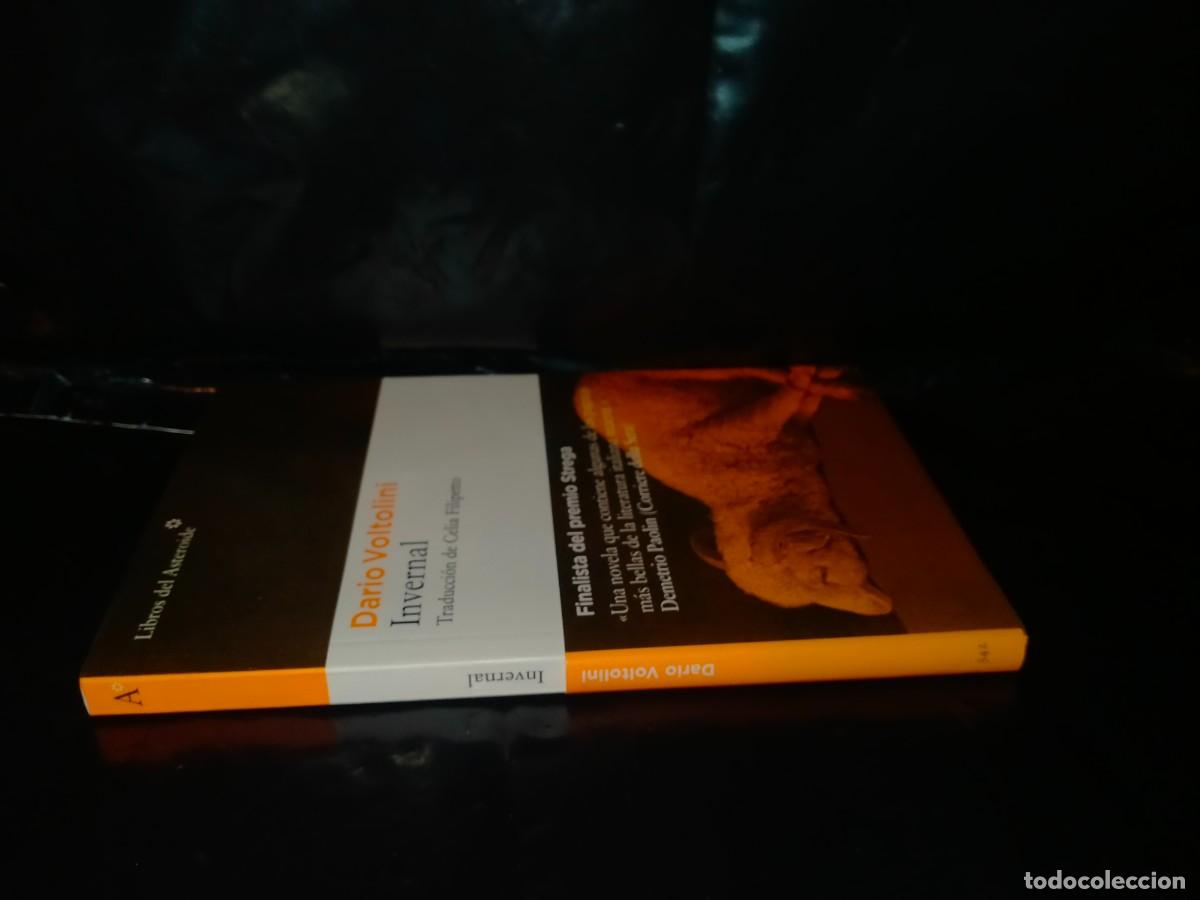 Libros: DAR&Iacute;O VOLTOLINI. INVERNAL .LIBROS DEL ASTEROIDE - Foto 3