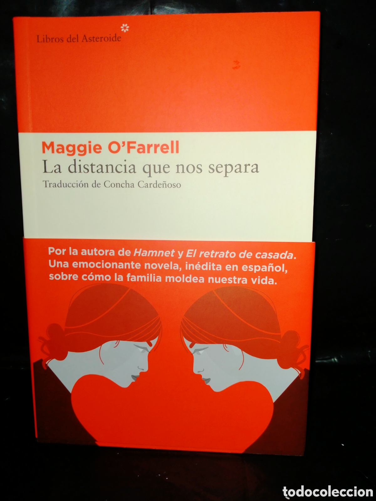 Libros: MAGGIE O'FARRELL. LA DISTANCIA QUE NOS SEPARA .LIBROS DEL ASTEROIDE