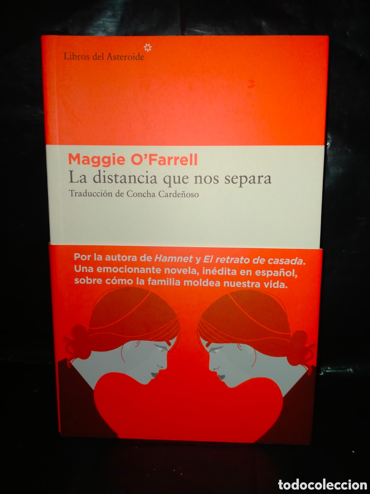 Libros: MAGGIE O'FARRELL. LA DISTANCIA QUE NOS SEPARA .LIBROS DEL ASTEROIDE