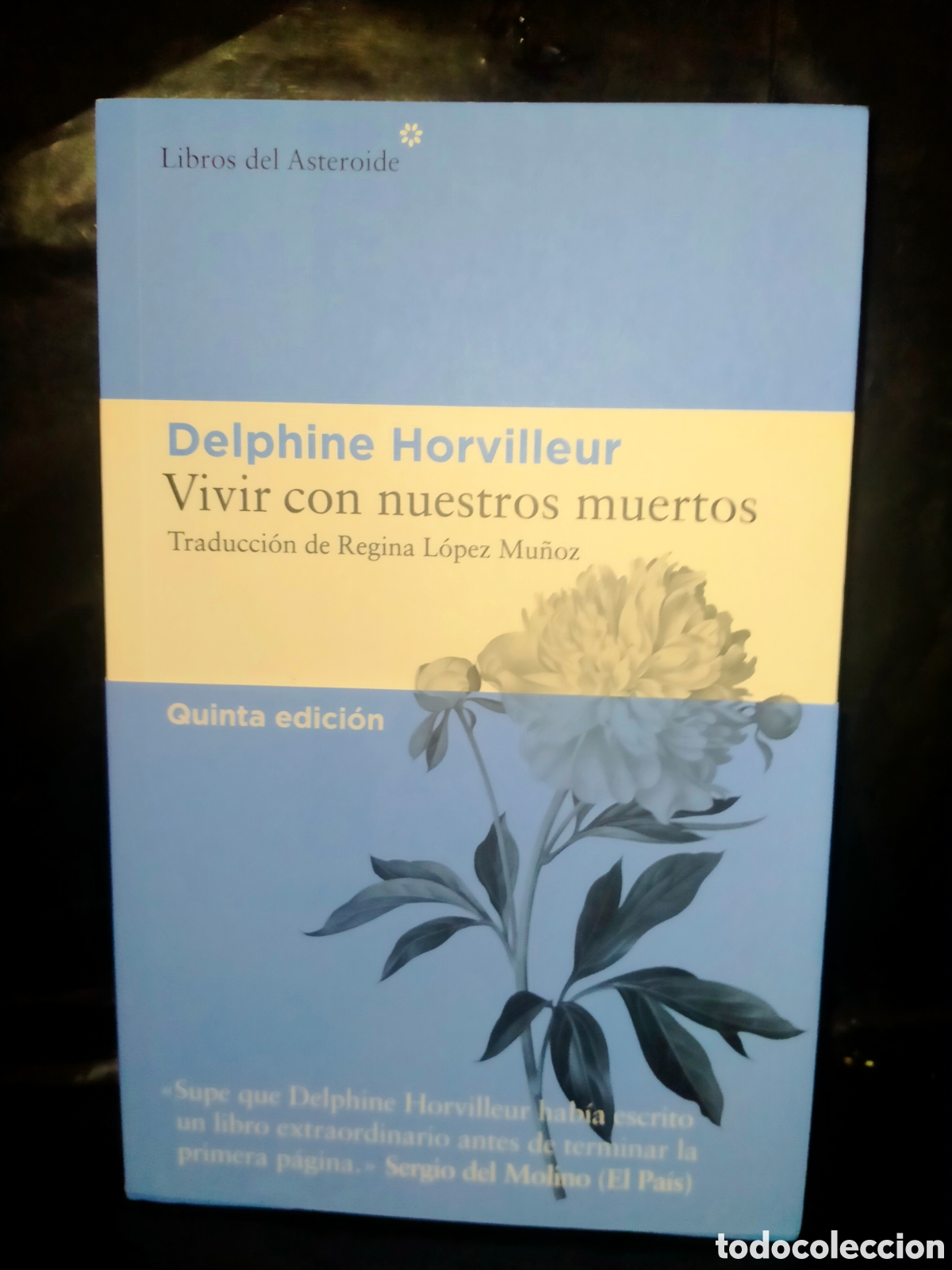 Libros: DELPHINE HORVILLEUR. VIVIR CON NUESTROS MUERTOS .LIBROS DEL ASTEROIDE