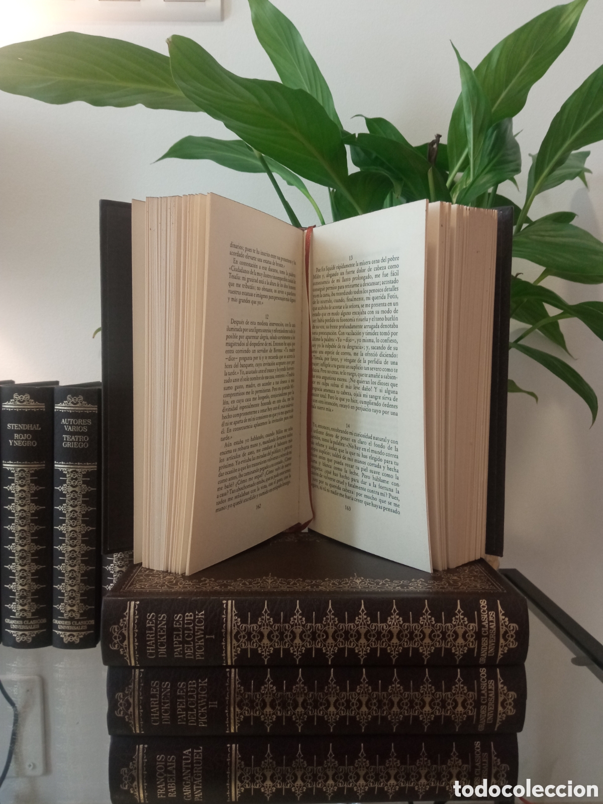Libros: Cl&aacute;sicos de la literatura universal - Foto 12