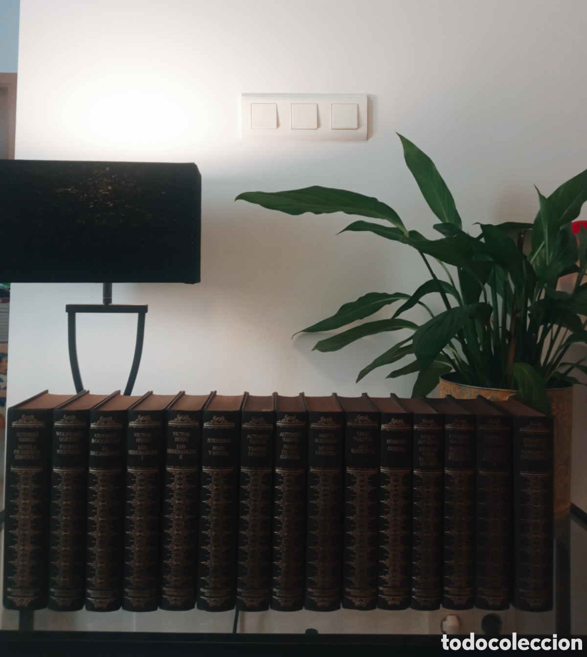 Libros: Grandes Cl&aacute;sicos Universales a&ntilde;o 1978