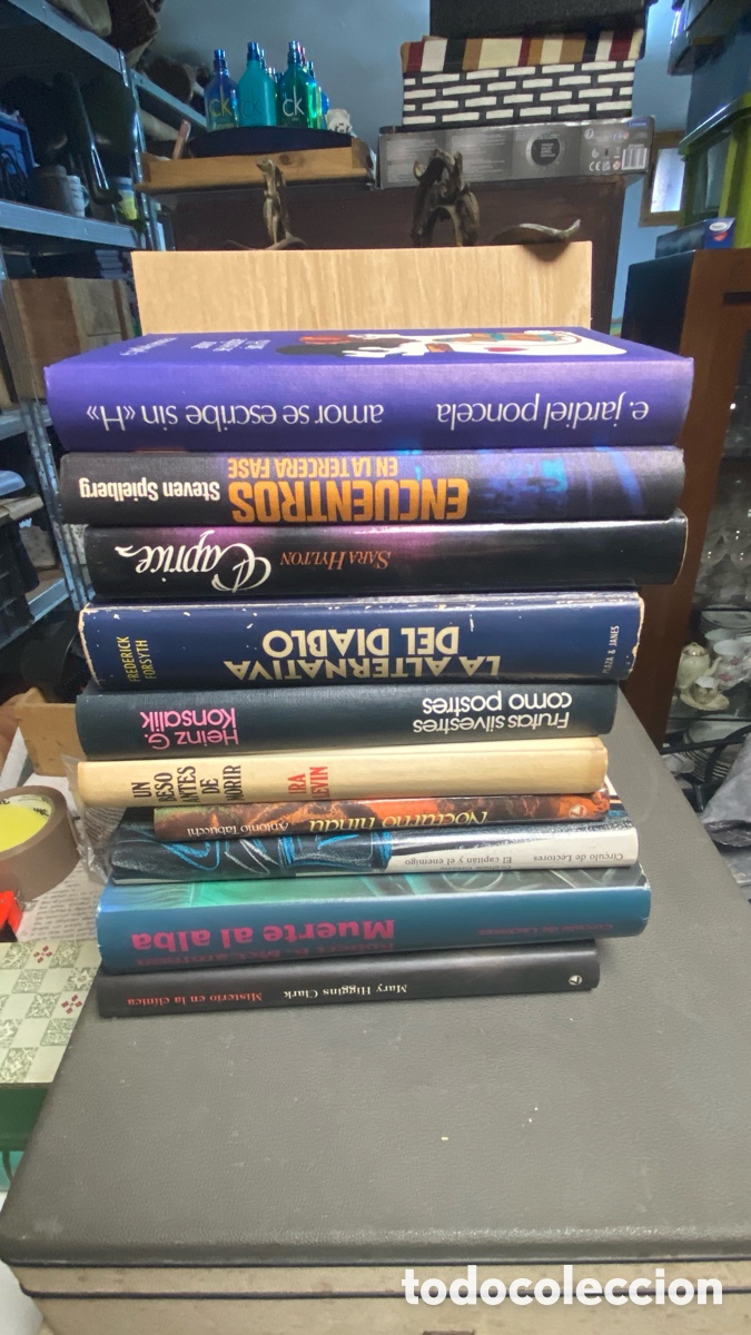 Libros: LOTE DE 10 GRANDES NOVELAS