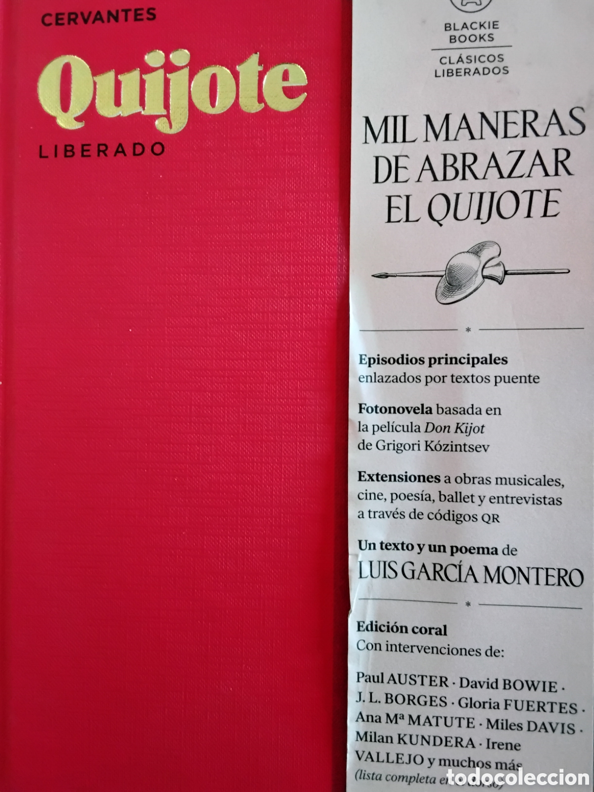 Libros: CERVANTES. QUIJOTE. LIBERADO. MIL MANERAS DE ABRAZAR EL QUIJOTE