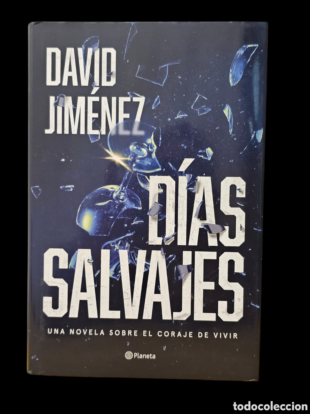 Libros: Novela Dias Salvajes. David Jim&eacute;nez